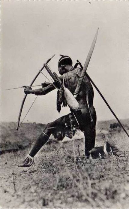 indwanyi zo hamere muri afrika