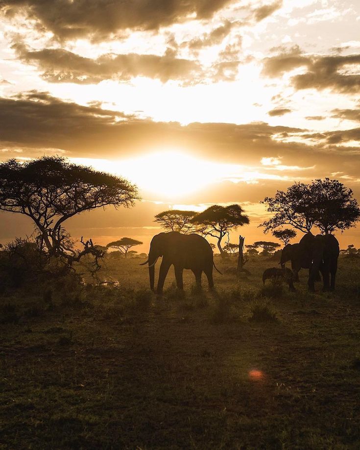 Dry savanna landscape in central Tanzania showing the semi-arid climate of the Hadzabe region