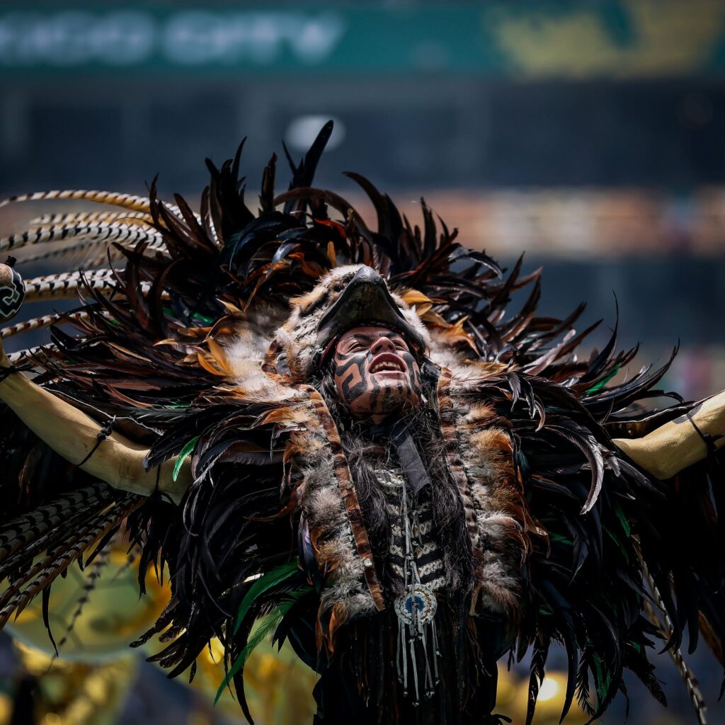 fifa world cup image 